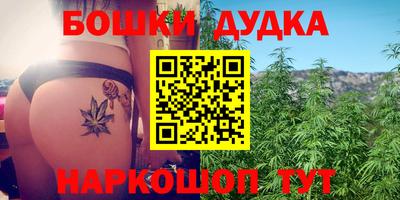 стафф Краснознаменск