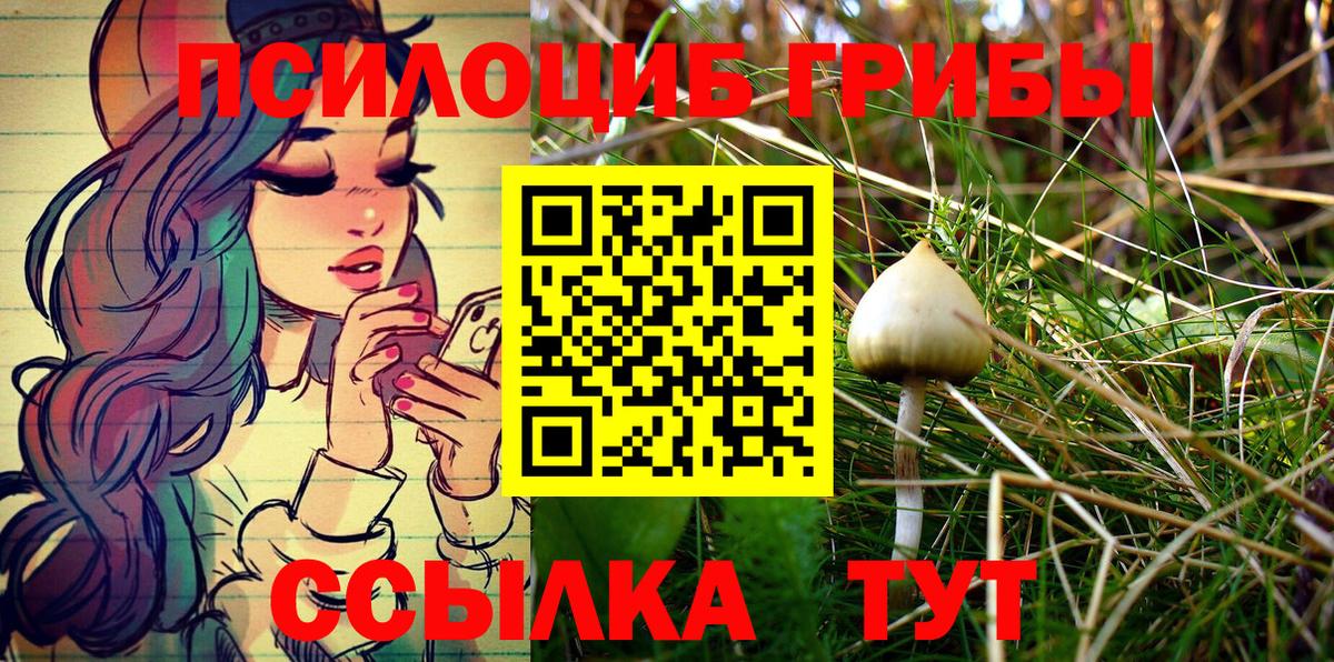 Ступино  Галлюциногенные грибы MAGIC MUSHROOMS  Вход с VPN 